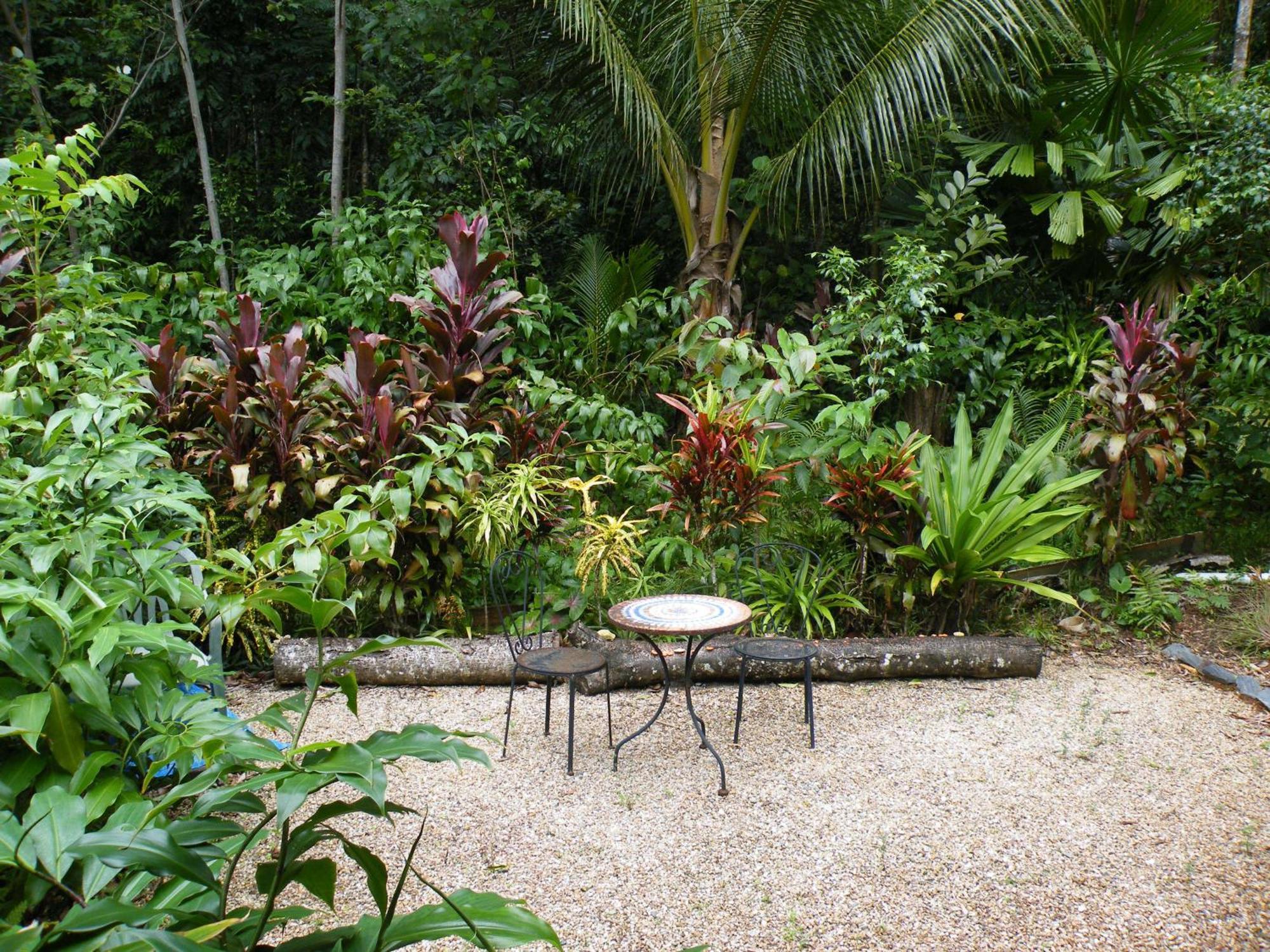 Epiphyte B & B Cow Bay ภายนอก รูปภาพ