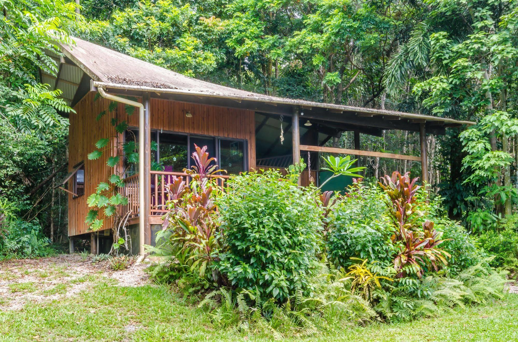 Epiphyte B & B Cow Bay ภายนอก รูปภาพ